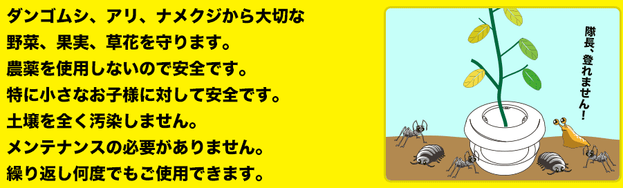 農薬を使用しないので安全です。